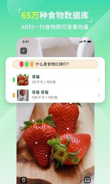LEFU热量减肥法全新版本