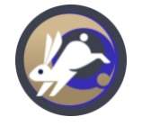 王者万象棋常小娥技能详解