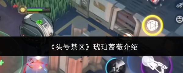 《头号禁区》琥珀蔷薇介绍