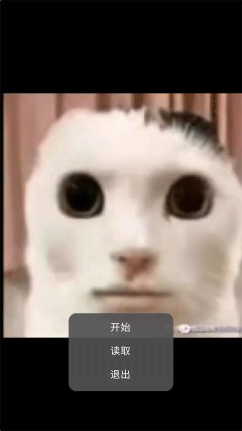 猫猫惊魂存档版