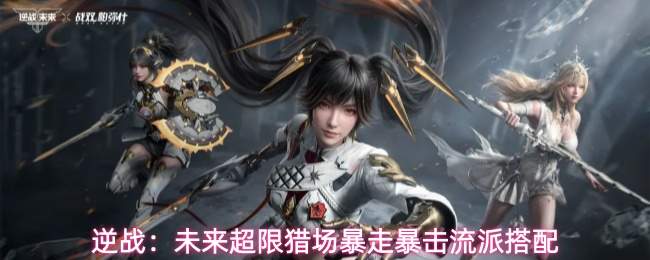 逆战：未来超限猎场暴走暴击流派搭配
