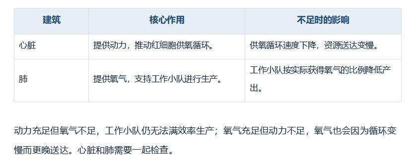 战斗细胞心脏建筑功能解析