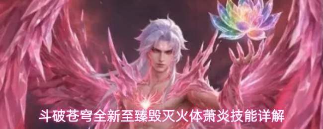 斗破苍穹全新至臻毁灭火体萧炎技能详解