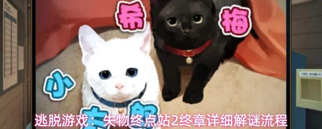 逃脱游戏：失物终点站2终章详细解谜流程