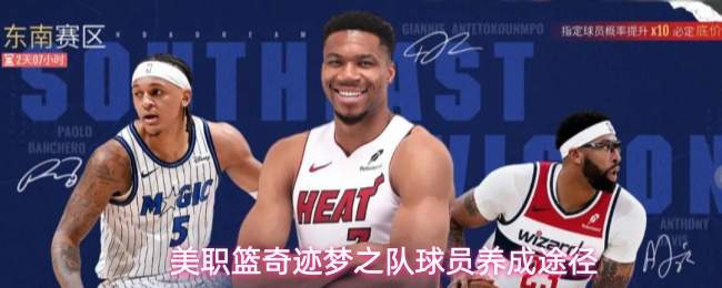 美职篮传奇梦之队球员培养路径解析