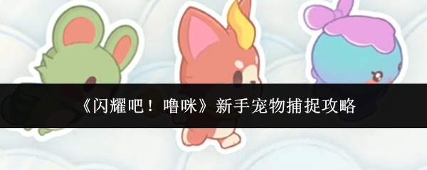 《闪耀吧！噜咪》新手宠物捕捉攻略