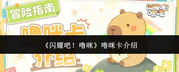 《闪耀吧！噜咪》噜咪卡介绍