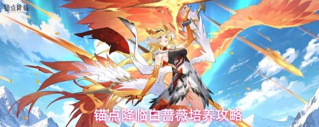 锚点降临白蔷薇培养攻略