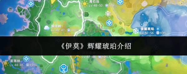 《伊莫》辉耀琥珀介绍