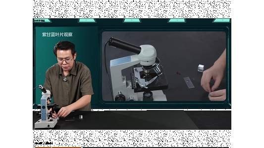 NB科学领航免费正版