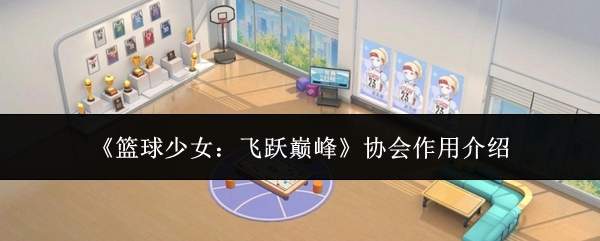《篮球少女：飞跃巅峰》协会作用介绍