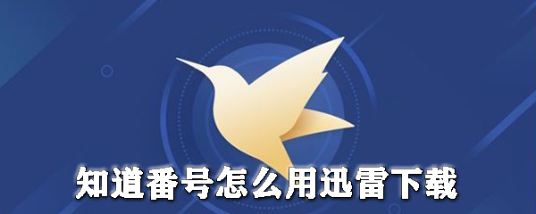 迅雷如何下载番号电影？迅雷下载番号电影流程介绍
