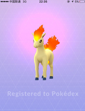 精灵宝可梦GO小米版