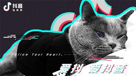 抖音脸盆拍照怎么拍_脸盆拍摄方法一览