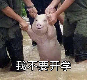 网红小猪我不要开学表情包