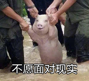 网红小猪我不要开学表情包