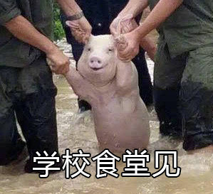 网红小猪我不要开学表情包