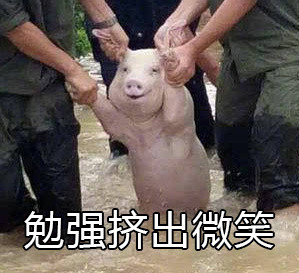 网红小猪我不要开学表情包
