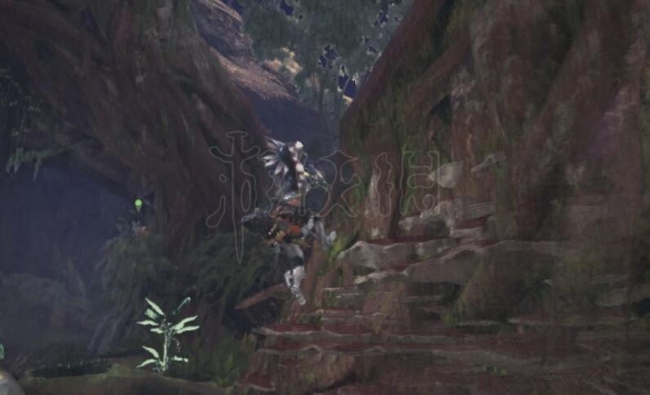 怪物猎人世界飞雷龙能掉落什么素材？飞雷龙素材掉落介绍