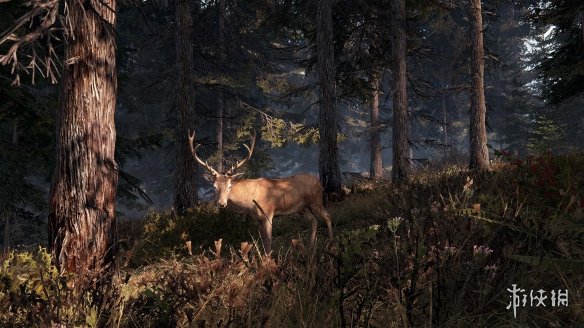 这是我的土地游戏对配置有什么要求？游戏配置要求介绍