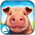 模拟猪的一生游戏