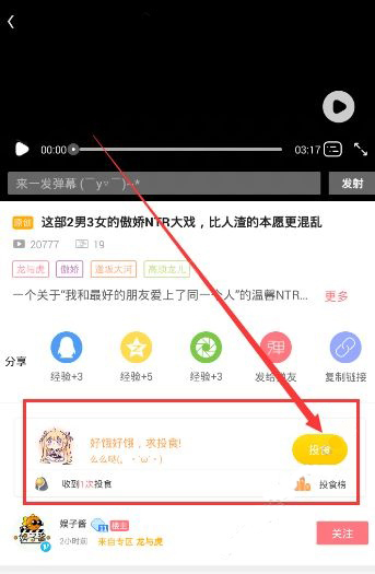 第一弹投食如何设置？投食设置方法介绍