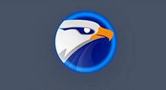 eagleget怎么更改语言？修改语言步骤一览