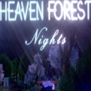 天堂森林的夜晚