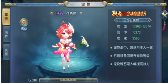 五岳乾坤宠物是怎么获得的？宠物系统玩法一览