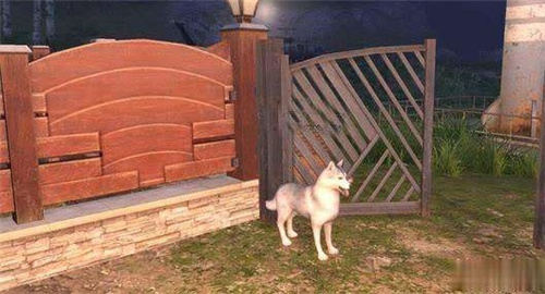 明日之后哈士奇技能属性怎么样？哈士奇技能属性及玩法介绍