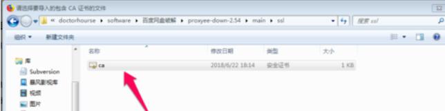 Proxyee Down软件如何安装？Proxyee Down软件安装流程图文介绍