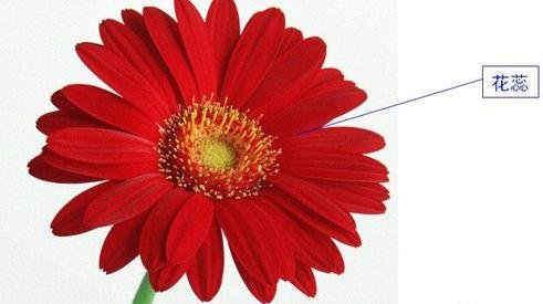 PowerPoint怎么设置触发器？触发器设置步骤一览