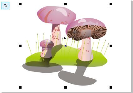 CorelDraw X4如何设置显示页面？设置显示页面步骤一览