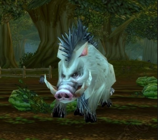 魔兽世界怀旧服公主必须死任务怎么玩？公主必须死任务完成攻略分享