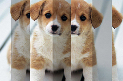 PS怎么打造人物多重镜像效果？制作图片多重镜像效果流程一览