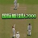 国际板球队2000