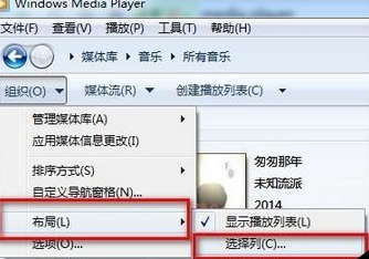 Windows Media Player歌曲详情内容如何查询？歌曲详情内容查询方法介绍