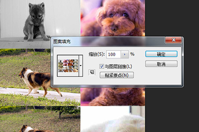 PS照片马赛克拼图效果如何制作？照片马赛克拼图效果制作流程图文介绍