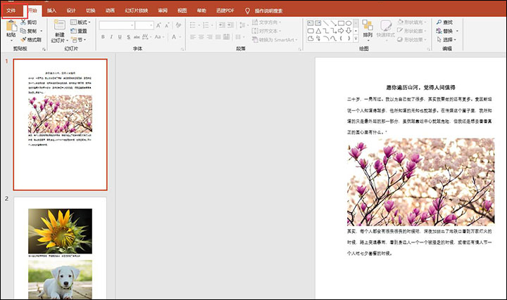 PPT如何快速有效压缩文件体积？压缩文件体积方法介绍