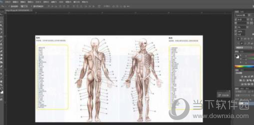 Maya人体建模如何操作？人体建模操作流程图文介绍