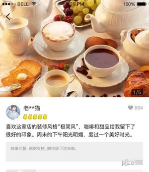 龙猫探员