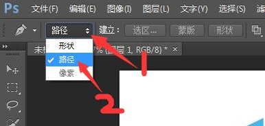 photoshop cs6怎么用钢笔工具处理图片？使用钢笔工具处理图片教程分享