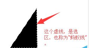 photoshop cs6怎么用钢笔工具处理图片？使用钢笔工具处理图片教程分享