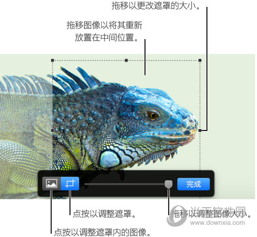 Numbers遮罩裁剪照片如何设置？遮罩裁剪照片设置流程图文分享