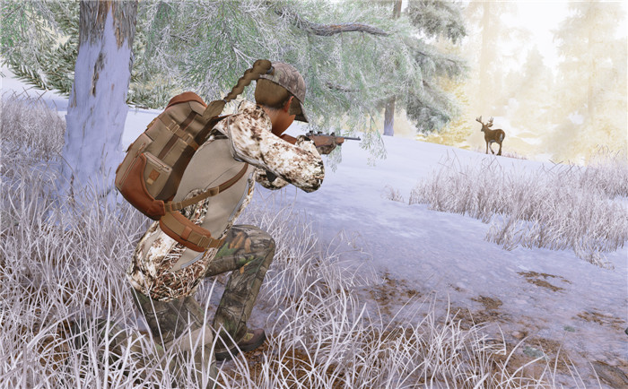 模拟狩猎