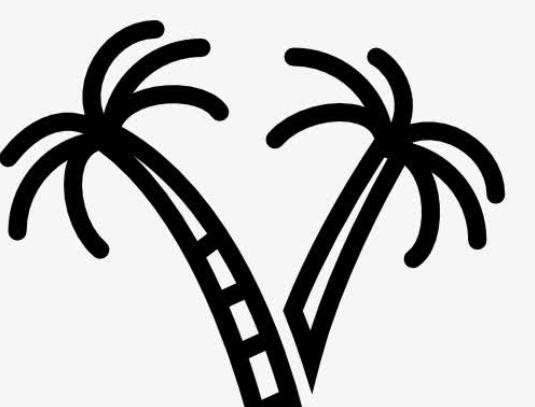 QQ红包棕桐树图案怎么画好识别？棕桐树图案最容易识别画法分享