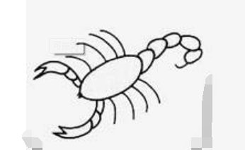 QQ红包蝎子图案怎么画好识别？蝎子图案最容易识别画法分享