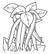 QQ红包四季豆图案怎么画好识别？四季豆图案最容易识别画法分享