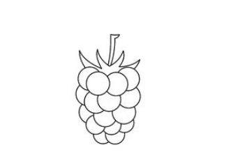 QQ红包黑莓图案怎么画好识别？黑莓图案最容易识别画法分享