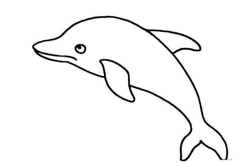 QQ红包海豚图案怎么画好识别？海豚图案最容易识别画法分享